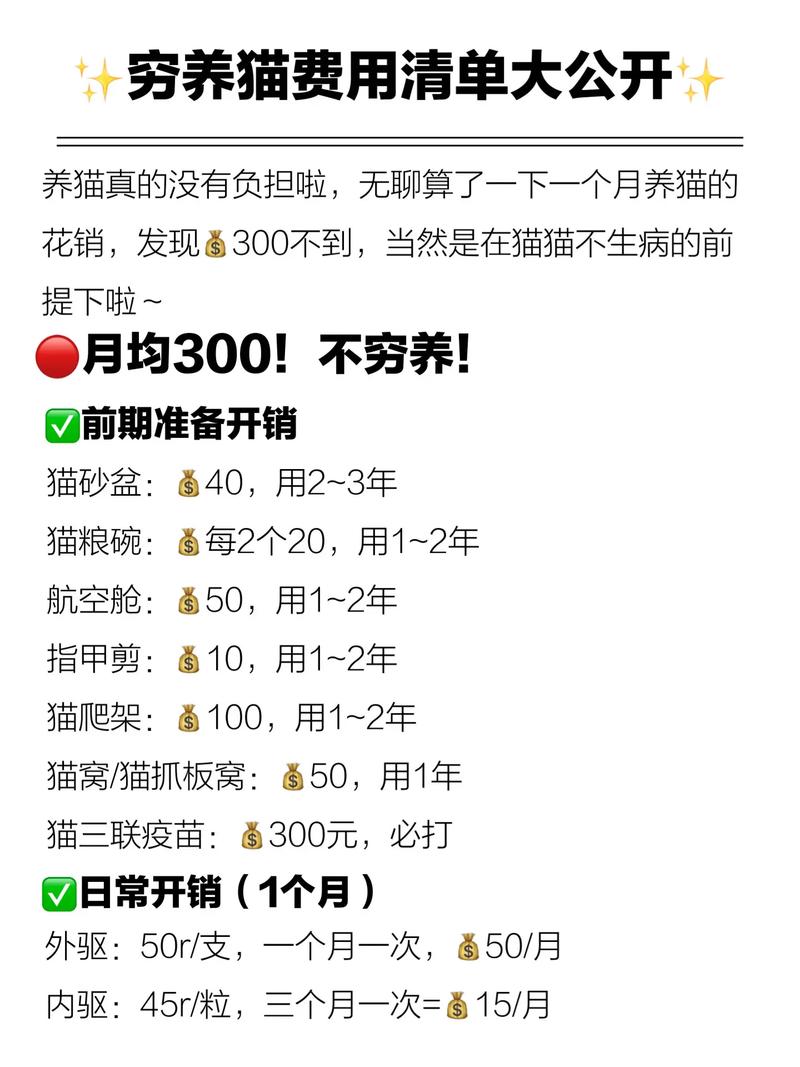 寄养猫咪一天多少钱/寄养猫咪多少钱一个月-第4张图片 寄养猫咪一天多少钱/寄养猫咪多少钱一个月-第4张图片