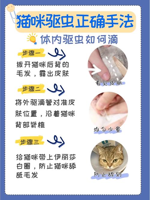怎样给猫咪驱虫-怎样给猫咪驱虫视频-第1张图片 怎样给猫咪驱虫-怎样给猫咪驱虫视频-第1张图片