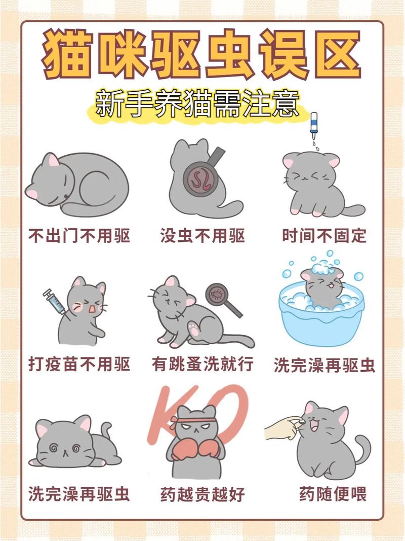 怎样给猫咪驱虫-怎样给猫咪驱虫视频-第6张图片 怎样给猫咪驱虫-怎样给猫咪驱虫视频-第6张图片