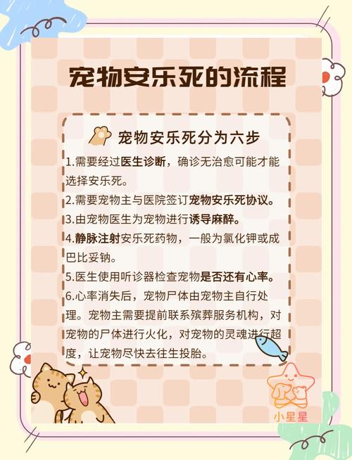 狗狗安乐死/狗狗安乐死一针需要多少钱-第5张图片 狗狗安乐死/狗狗安乐死一针需要多少钱-第5张图片