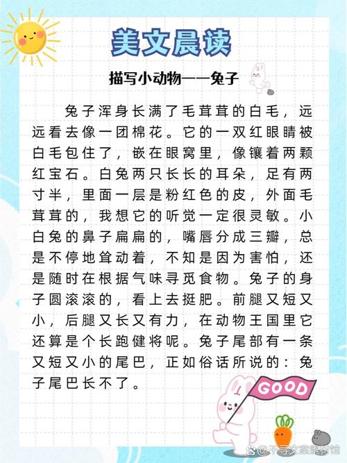兔子的外形-兔子的外形特点20字-第8张图片 兔子的外形-兔子的外形特点20字-第8张图片