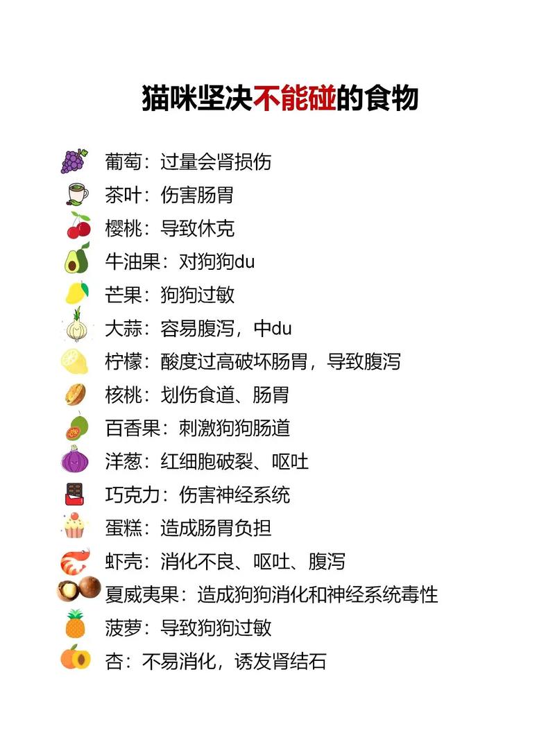 猫咪可以吃哪些蔬菜-猫咪可以吃哪些蔬菜水果-第3张图片 猫咪可以吃哪些蔬菜-猫咪可以吃哪些蔬菜水果-第3张图片