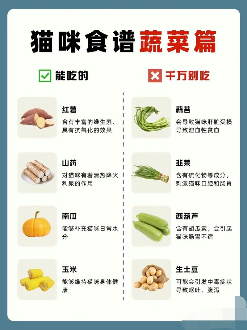 猫咪可以吃哪些蔬菜-猫咪可以吃哪些蔬菜水果-第8张图片 猫咪可以吃哪些蔬菜-猫咪可以吃哪些蔬菜水果-第8张图片