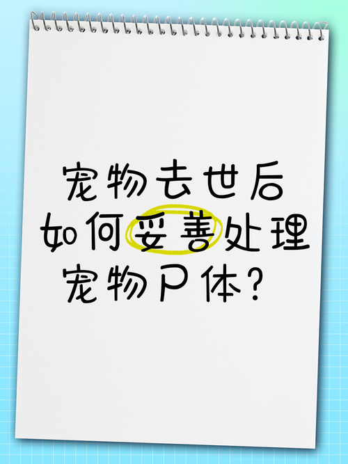 宠物安乐死/宠物安乐死人用了会死吗-第10张图片 宠物安乐死/宠物安乐死人用了会死吗-第10张图片