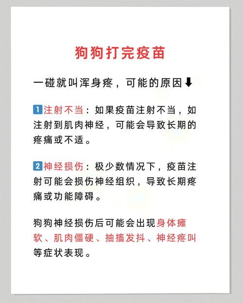 解析“狗狗打疫苗有什么反应”你不知道的事-第2张图片 解析“狗狗打疫苗有什么反应”你不知道的事-第2张图片