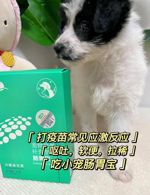 解析“狗狗打疫苗有什么反应”你不知道的事-第5张图片 解析“狗狗打疫苗有什么反应”你不知道的事-第5张图片