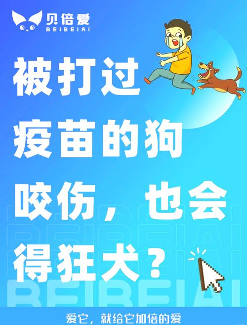 解析“狗狗打疫苗有什么反应”你不知道的事-第8张图片 解析“狗狗打疫苗有什么反应”你不知道的事-第8张图片