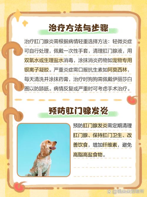 狗狗肛门腺发炎症状/狗狗肛门腺发炎症状有哪些-第8张图片 狗狗肛门腺发炎症状/狗狗肛门腺发炎症状有哪些-第8张图片