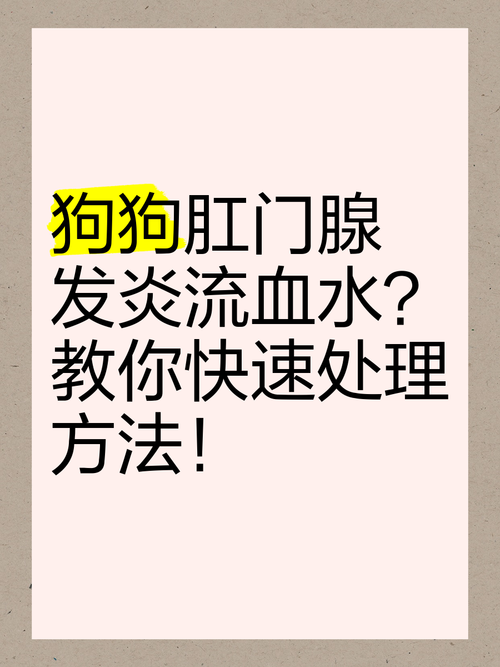 狗狗肛门腺发炎症状/狗狗肛门腺发炎症状有哪些-第9张图片 狗狗肛门腺发炎症状/狗狗肛门腺发炎症状有哪些-第9张图片