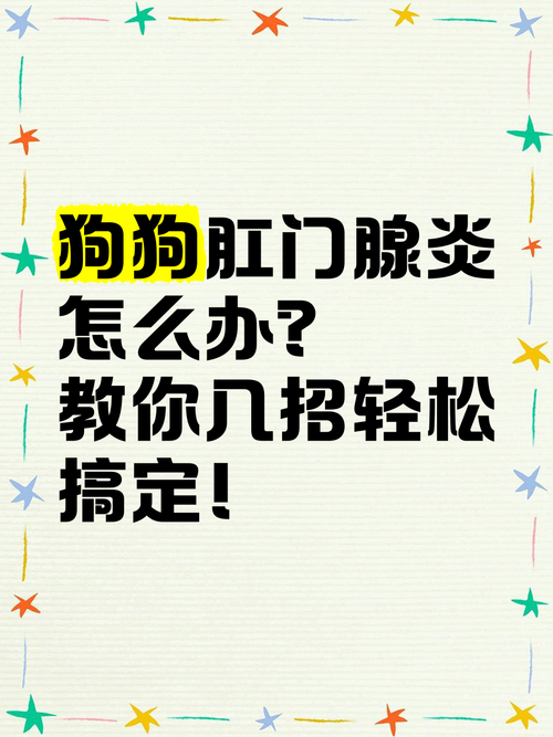 狗狗肛门腺发炎症状/狗狗肛门腺发炎症状有哪些-第10张图片 狗狗肛门腺发炎症状/狗狗肛门腺发炎症状有哪些-第10张图片