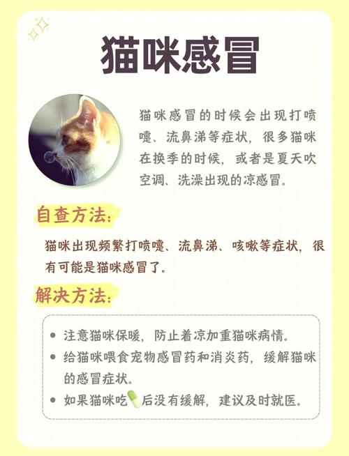 作为消费者“猫咪感冒一直不好”你不能不知道-第1张图片 作为消费者“猫咪感冒一直不好”你不能不知道-第1张图片