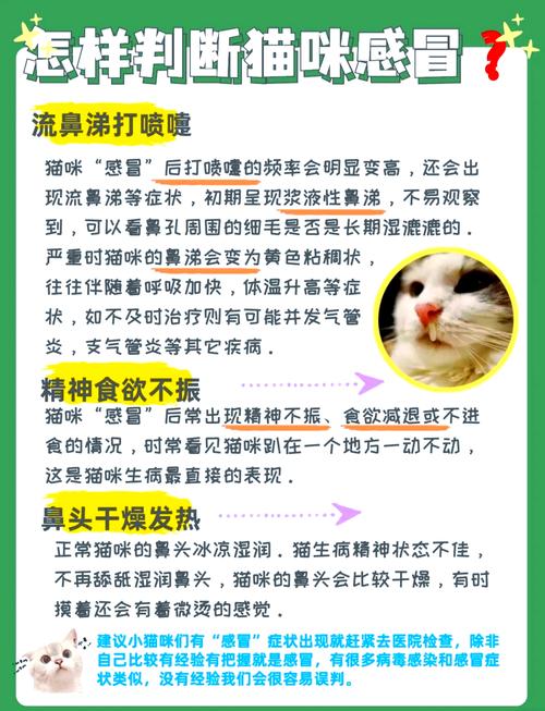 作为消费者“猫咪感冒一直不好”你不能不知道-第4张图片 作为消费者“猫咪感冒一直不好”你不能不知道-第4张图片