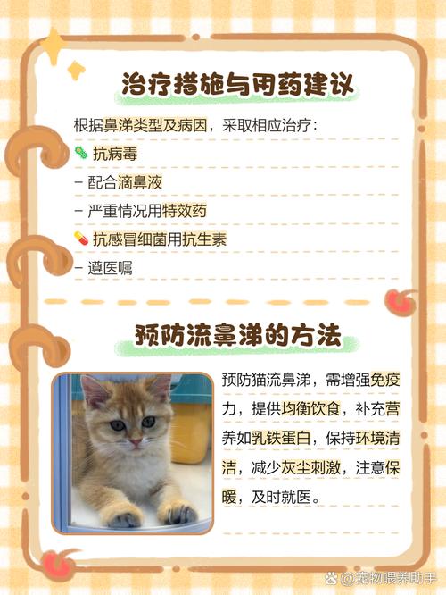 作为消费者“猫咪感冒一直不好”你不能不知道-第5张图片 作为消费者“猫咪感冒一直不好”你不能不知道-第5张图片