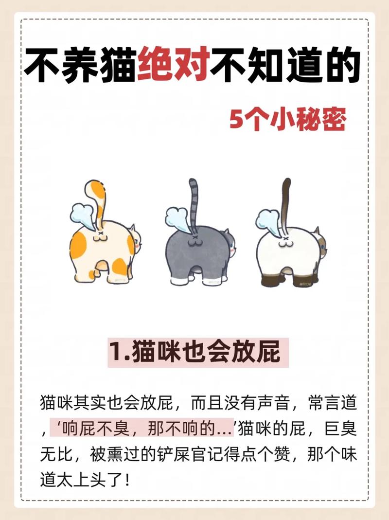 猫咪会放屁吗/猫咪也会放屁嘛-第2张图片 猫咪会放屁吗/猫咪也会放屁嘛-第2张图片