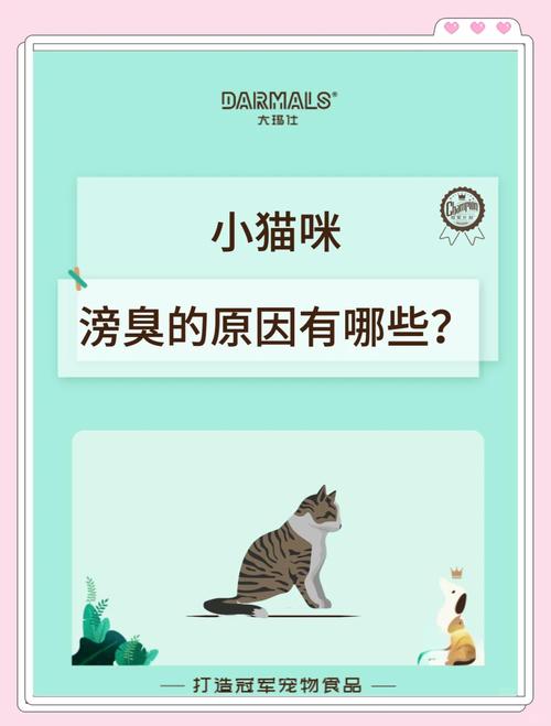 猫咪会放屁吗/猫咪也会放屁嘛-第6张图片 猫咪会放屁吗/猫咪也会放屁嘛-第6张图片