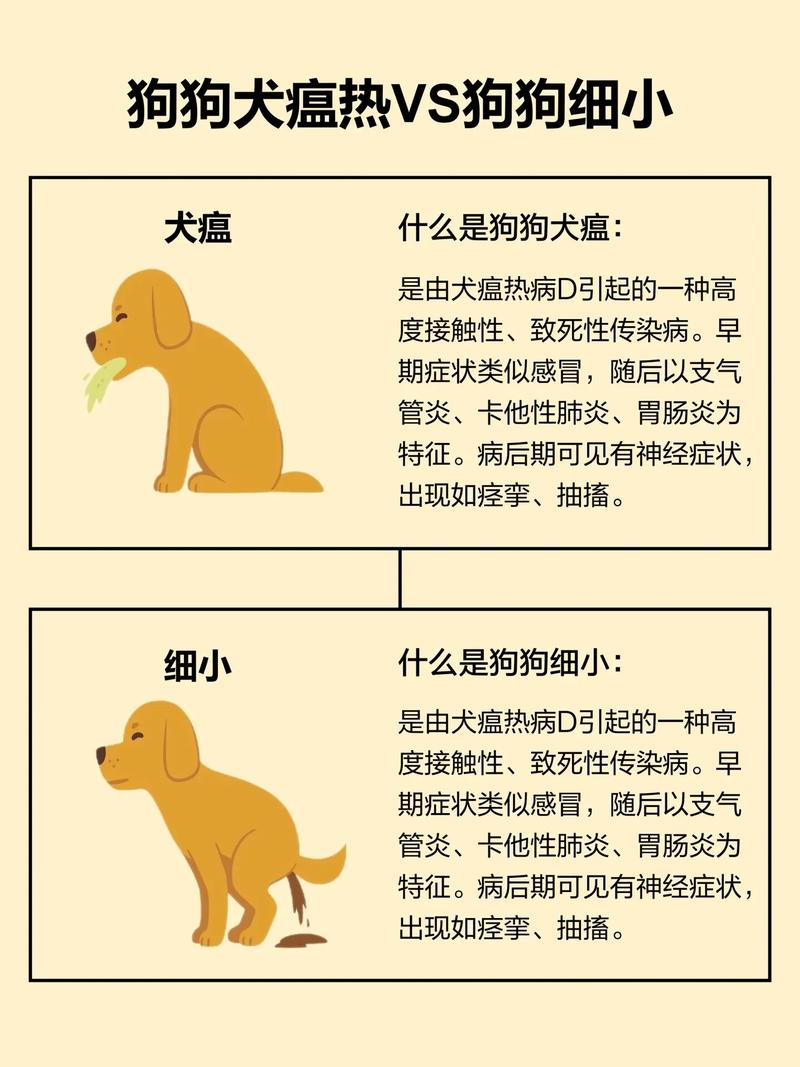 狗得了犬瘟有什么症状,狗狗得了犬瘟的症状是怎样的-第4张图片 狗得了犬瘟有什么症状,狗狗得了犬瘟的症状是怎样的-第4张图片