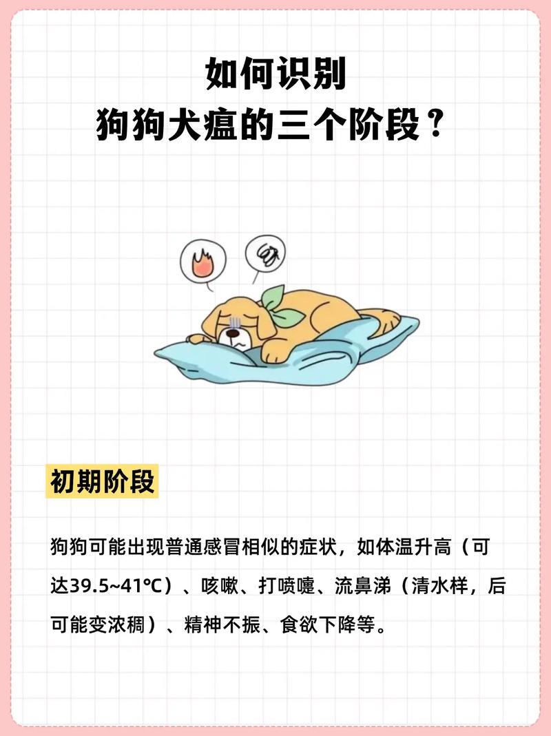 作为消费者“犬瘟隐藏期多久啊”你不能不知道-第3张图片 作为消费者“犬瘟隐藏期多久啊”你不能不知道-第3张图片