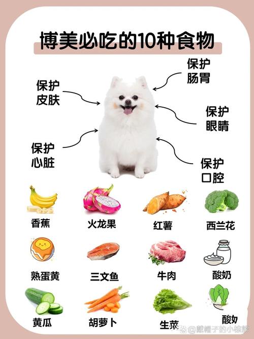 狗狗能吃甜的东西吗/狗狗能吃甜的东西吗为什么-第1张图片 狗狗能吃甜的东西吗/狗狗能吃甜的东西吗为什么-第1张图片