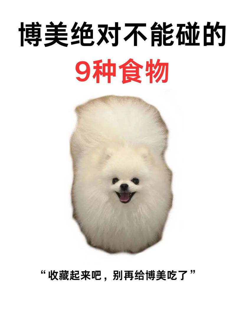 狗狗能吃甜的东西吗/狗狗能吃甜的东西吗为什么-第8张图片 狗狗能吃甜的东西吗/狗狗能吃甜的东西吗为什么-第8张图片