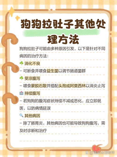 狗狗吃肉拉稀怎么办,狗吃肉拉稀怎么回事-第2张图片 狗狗吃肉拉稀怎么办,狗吃肉拉稀怎么回事-第2张图片