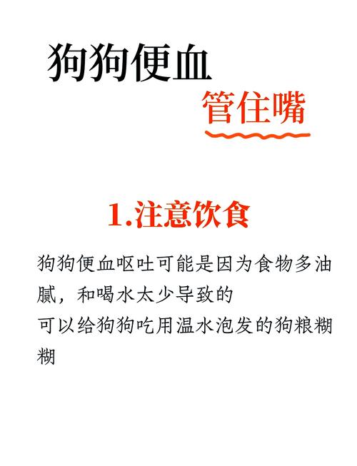 狗狗吃肉拉稀怎么办,狗吃肉拉稀怎么回事-第3张图片 狗狗吃肉拉稀怎么办,狗吃肉拉稀怎么回事-第3张图片