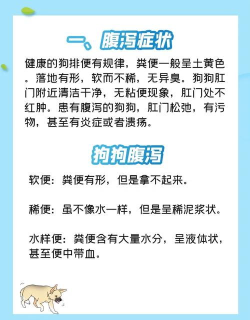 狗狗吃肉拉稀怎么办,狗吃肉拉稀怎么回事-第5张图片 狗狗吃肉拉稀怎么办,狗吃肉拉稀怎么回事-第5张图片