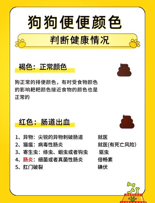 狗狗吃肉拉稀怎么办,狗吃肉拉稀怎么回事-第6张图片 狗狗吃肉拉稀怎么办,狗吃肉拉稀怎么回事-第6张图片