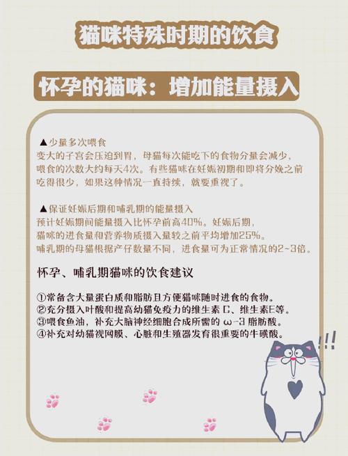 猫咪怀孕吃什么比较好/怎么确定母猫怀孕了-第4张图片 猫咪怀孕吃什么比较好/怎么确定母猫怀孕了-第4张图片