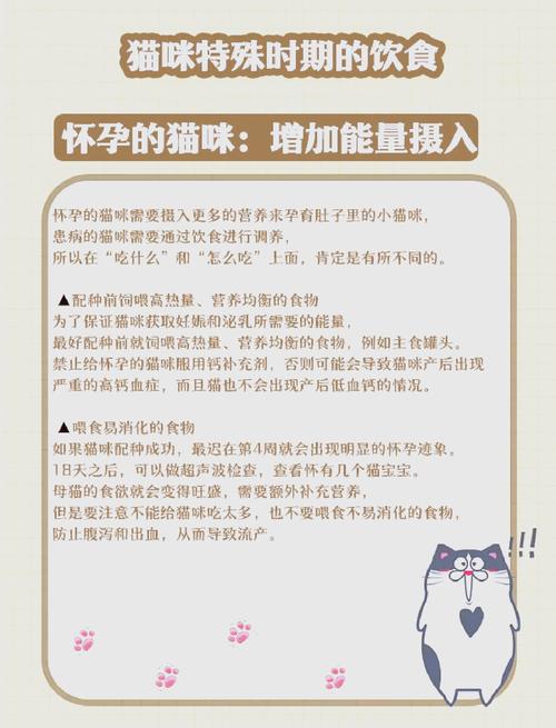 猫咪怀孕吃什么比较好/怎么确定母猫怀孕了-第5张图片 猫咪怀孕吃什么比较好/怎么确定母猫怀孕了-第5张图片