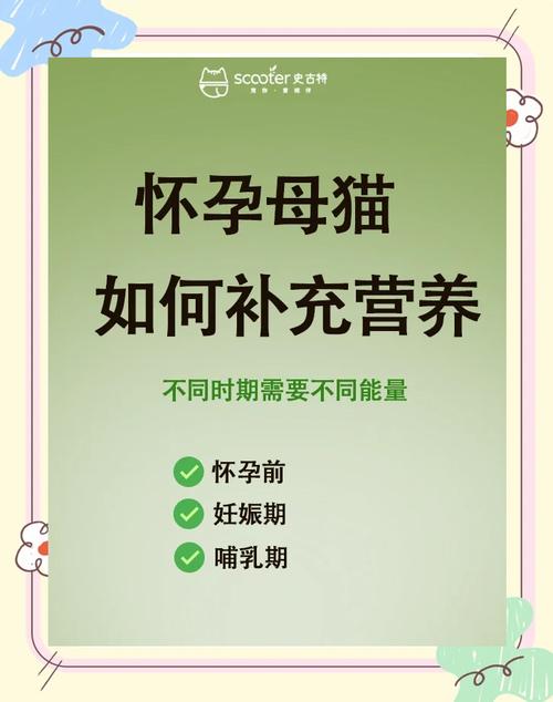 猫咪怀孕吃什么比较好/怎么确定母猫怀孕了-第10张图片 猫咪怀孕吃什么比较好/怎么确定母猫怀孕了-第10张图片