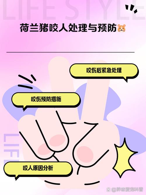 被荷兰猪咬了需不需要打针/被荷兰猪咬伤了怎么办-第8张图片 被荷兰猪咬了需不需要打针/被荷兰猪咬伤了怎么办-第8张图片