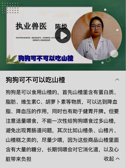 狗能吃山楂片吗-狗狗可不可以吃山楂片-第3张图片 狗能吃山楂片吗-狗狗可不可以吃山楂片-第3张图片