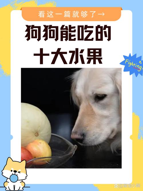 狗能吃山楂片吗-狗狗可不可以吃山楂片-第6张图片 狗能吃山楂片吗-狗狗可不可以吃山楂片-第6张图片