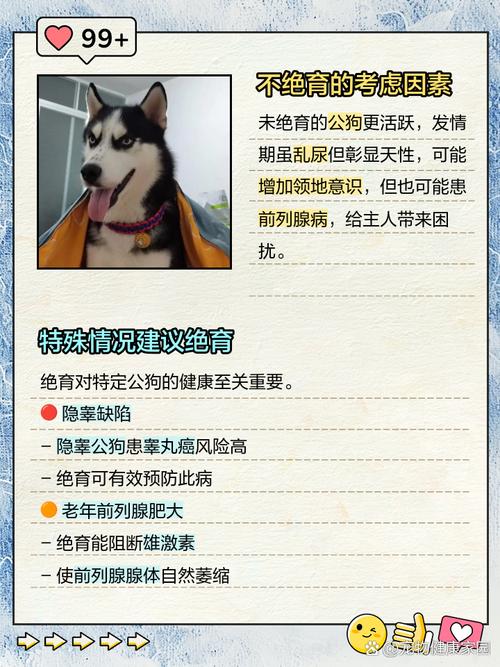 作为消费者“狗狗绝育的坏处”你不能不知道-第3张图片 作为消费者“狗狗绝育的坏处”你不能不知道-第3张图片