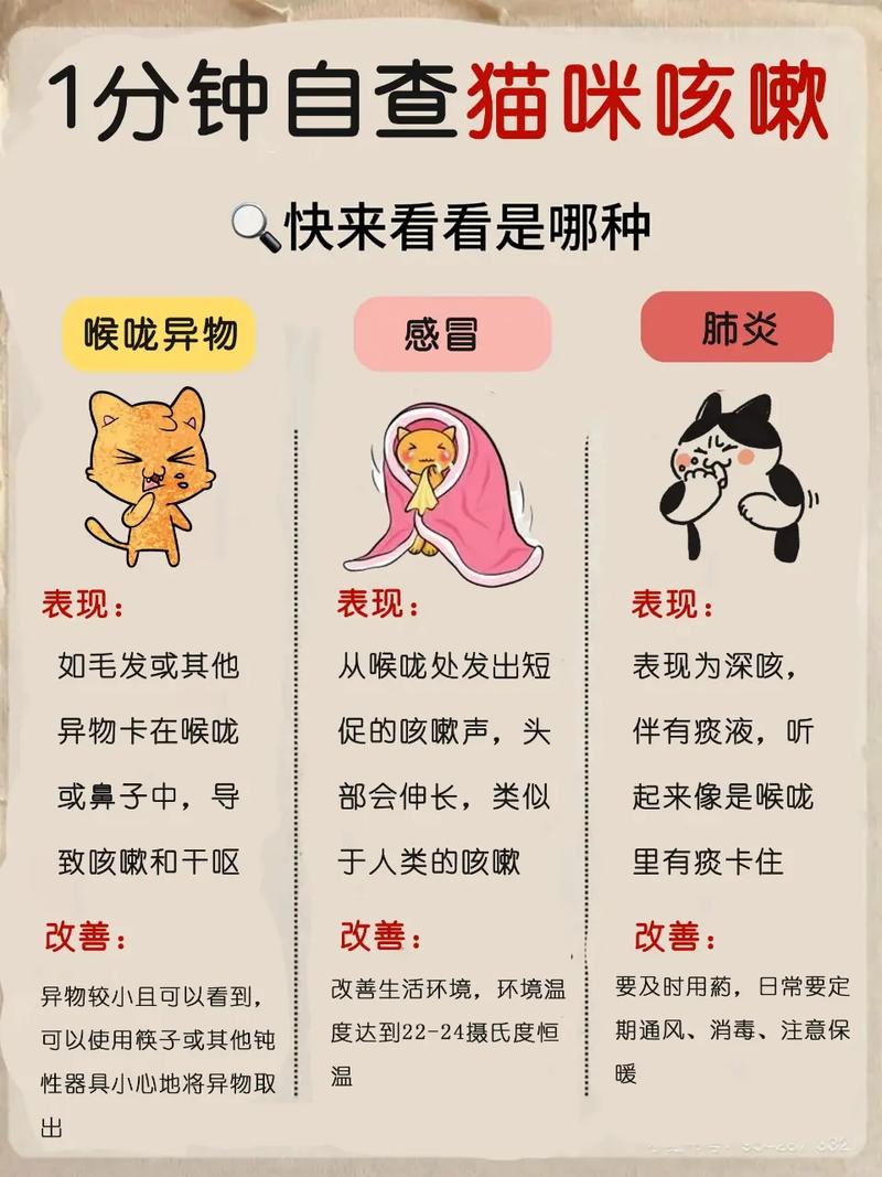 作为消费者“猫咪咳嗽是什么样子的”你不能不知道-第1张图片 作为消费者“猫咪咳嗽是什么样子的”你不能不知道-第1张图片
