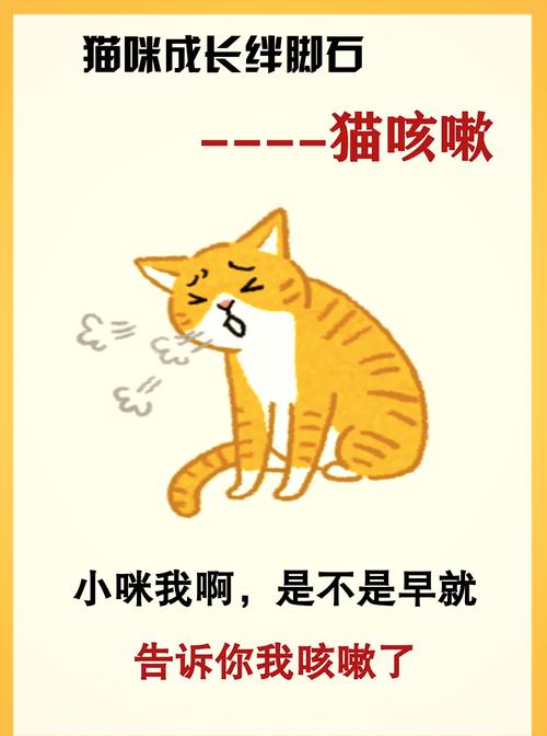作为消费者“猫咪咳嗽是什么样子的”你不能不知道-第3张图片 作为消费者“猫咪咳嗽是什么样子的”你不能不知道-第3张图片