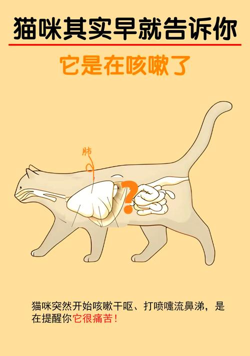 作为消费者“猫咪咳嗽是什么样子的”你不能不知道-第4张图片 作为消费者“猫咪咳嗽是什么样子的”你不能不知道-第4张图片