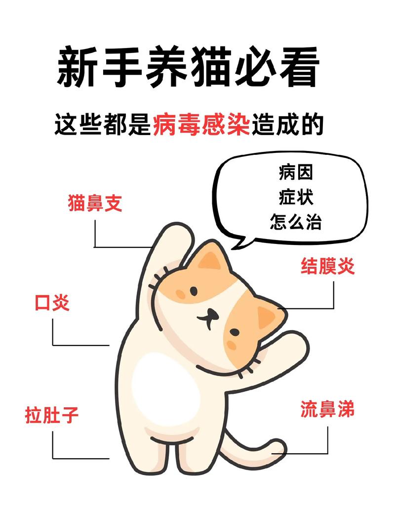 作为消费者“猫咪咳嗽是什么样子的”你不能不知道-第5张图片 作为消费者“猫咪咳嗽是什么样子的”你不能不知道-第5张图片