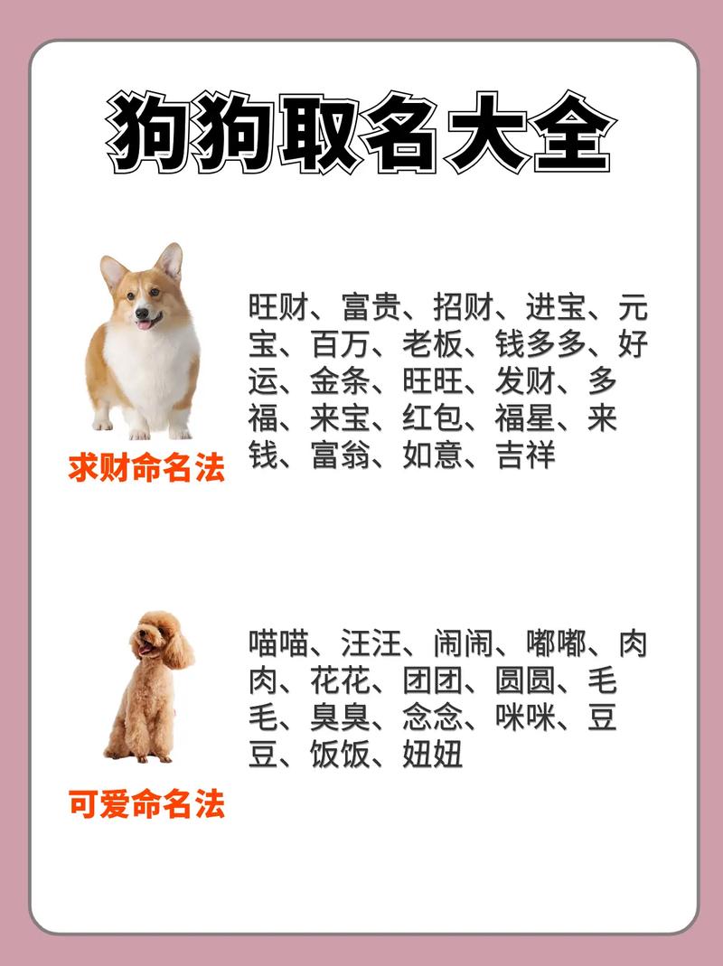 独一无二的狗狗名字/独一无二的狗狗名字饼干-第4张图片 独一无二的狗狗名字/独一无二的狗狗名字饼干-第4张图片