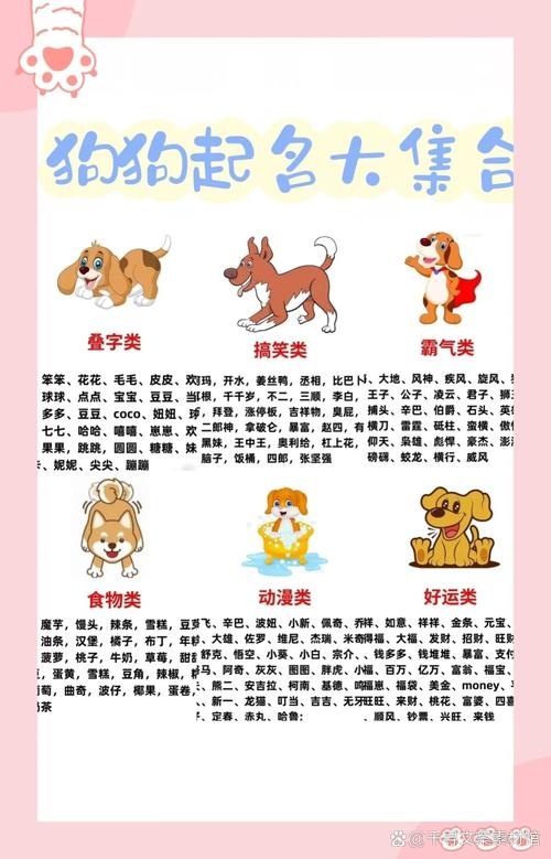 独一无二的狗狗名字/独一无二的狗狗名字饼干-第7张图片 独一无二的狗狗名字/独一无二的狗狗名字饼干-第7张图片