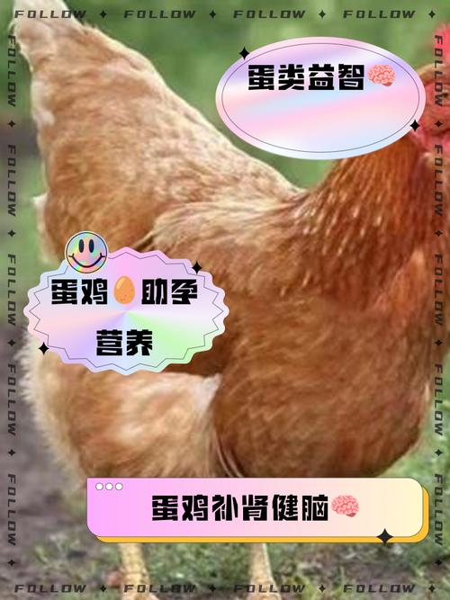 作为消费者“复方布他磷”你不能不知道-第4张图片 作为消费者“复方布他磷”你不能不知道-第4张图片