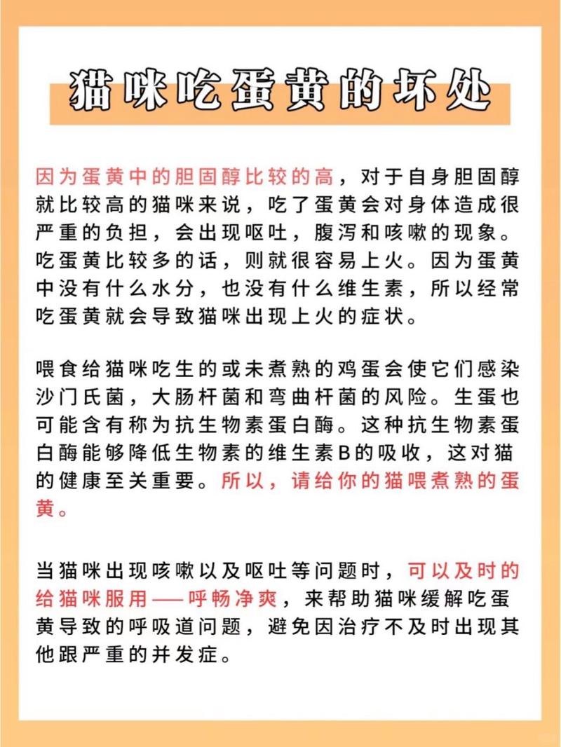 解析“猫可以吃鸡蛋吗”你不知道的事-第1张图片 解析“猫可以吃鸡蛋吗”你不知道的事-第1张图片