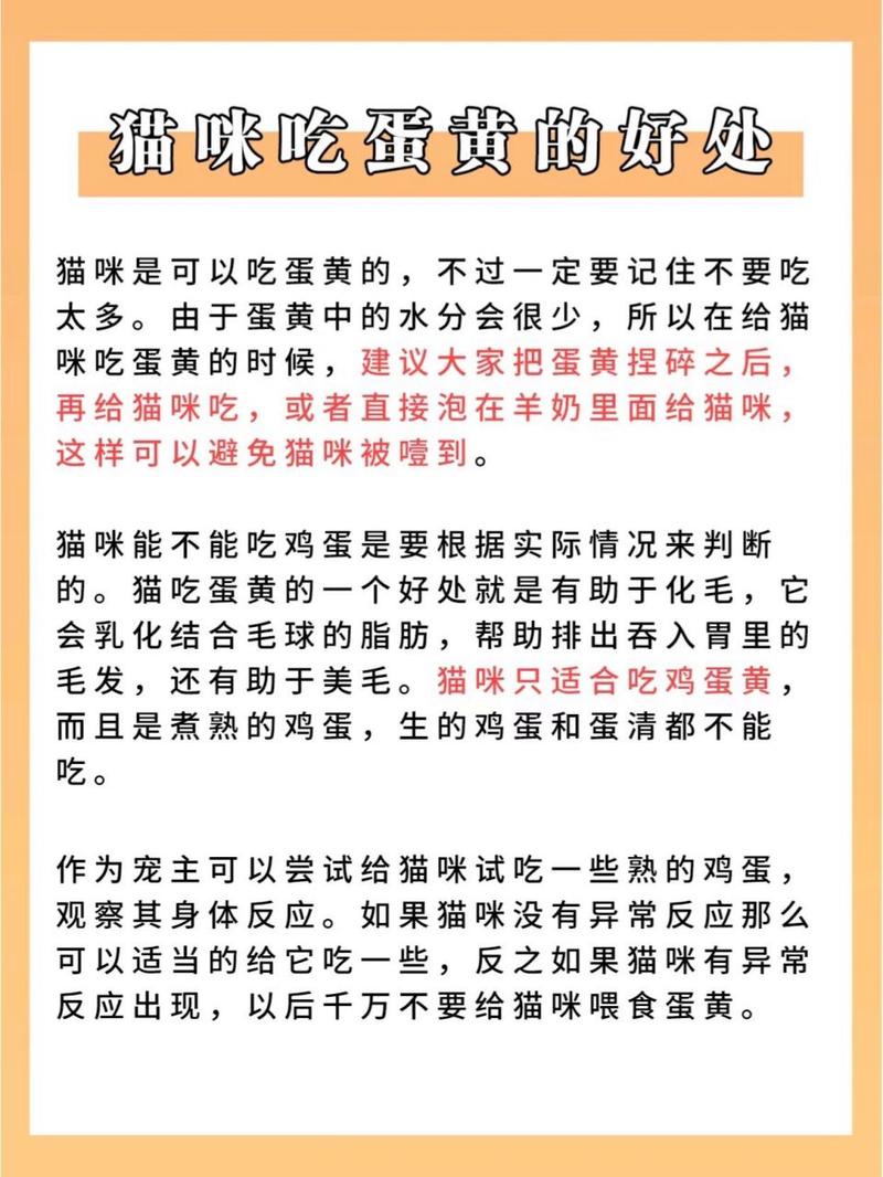 解析“猫可以吃鸡蛋吗”你不知道的事-第6张图片 解析“猫可以吃鸡蛋吗”你不知道的事-第6张图片