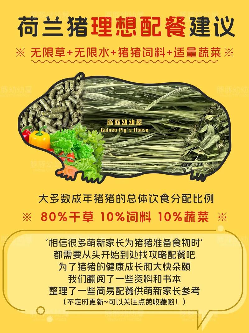 解析“荷兰鼠可以吃茄子吗”你不知道的事-第6张图片 解析“荷兰鼠可以吃茄子吗”你不知道的事-第6张图片