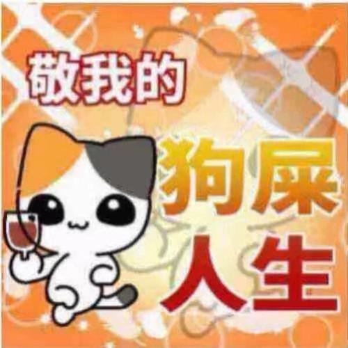 臭狗屎,臭狗屎图片-第5张图片 臭狗屎,臭狗屎图片-第5张图片