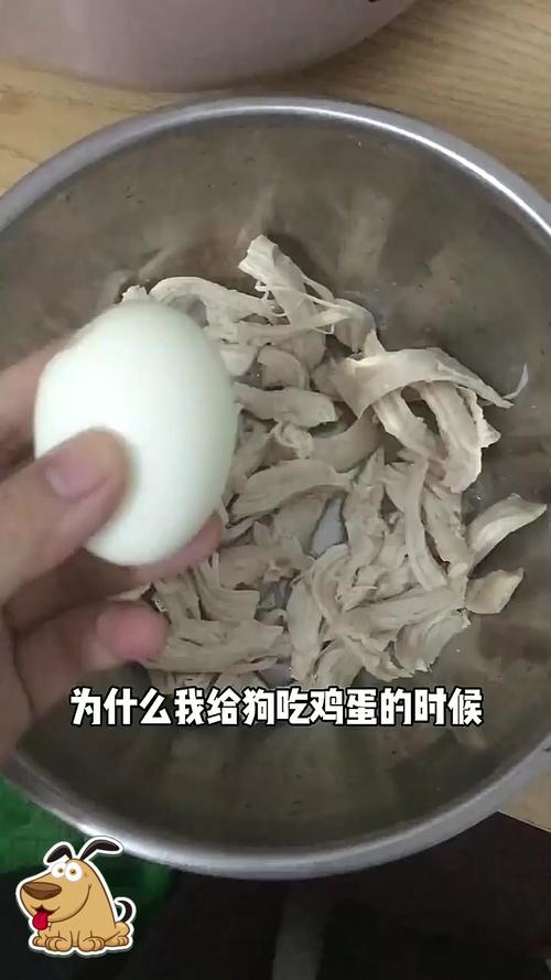 狗狗可以吃鸡蛋白吗,狗子能吃鸡蛋白吗?-第2张图片 狗狗可以吃鸡蛋白吗,狗子能吃鸡蛋白吗?-第2张图片
