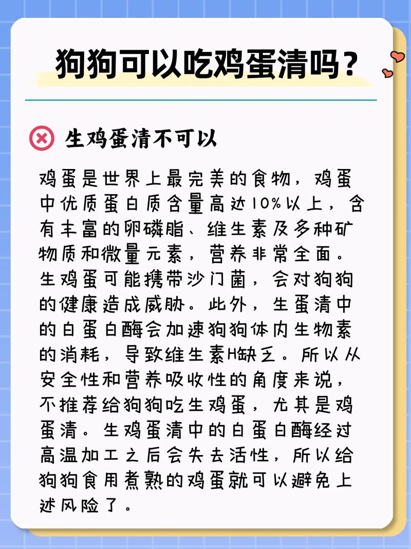 狗狗可以吃鸡蛋白吗,狗子能吃鸡蛋白吗?-第4张图片 狗狗可以吃鸡蛋白吗,狗子能吃鸡蛋白吗?-第4张图片