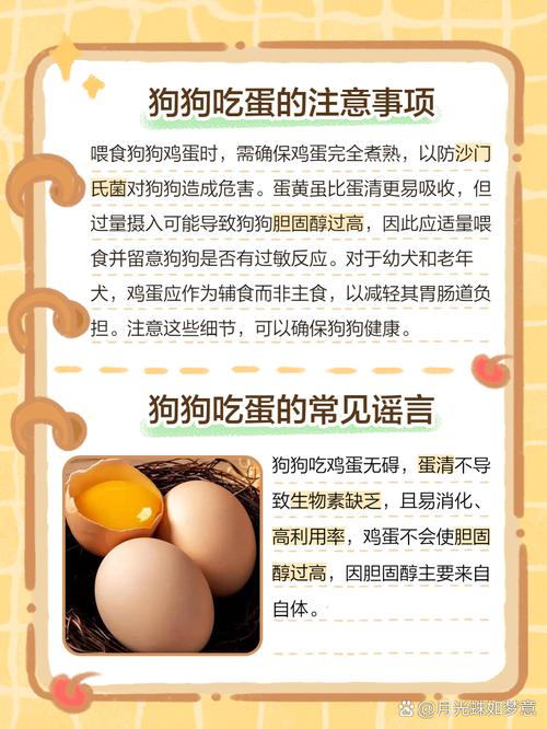 狗狗可以吃鸡蛋白吗,狗子能吃鸡蛋白吗?-第5张图片 狗狗可以吃鸡蛋白吗,狗子能吃鸡蛋白吗?-第5张图片