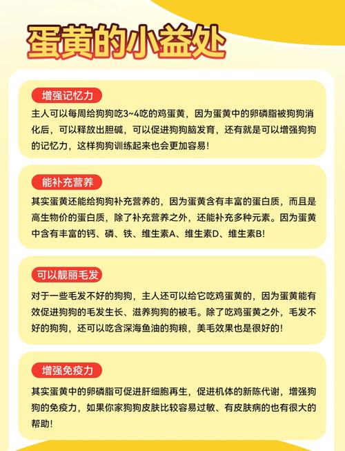 小狗可以吃蛋黄吗-三个月的小狗可以吃蛋黄吗-第3张图片 小狗可以吃蛋黄吗-三个月的小狗可以吃蛋黄吗-第3张图片
