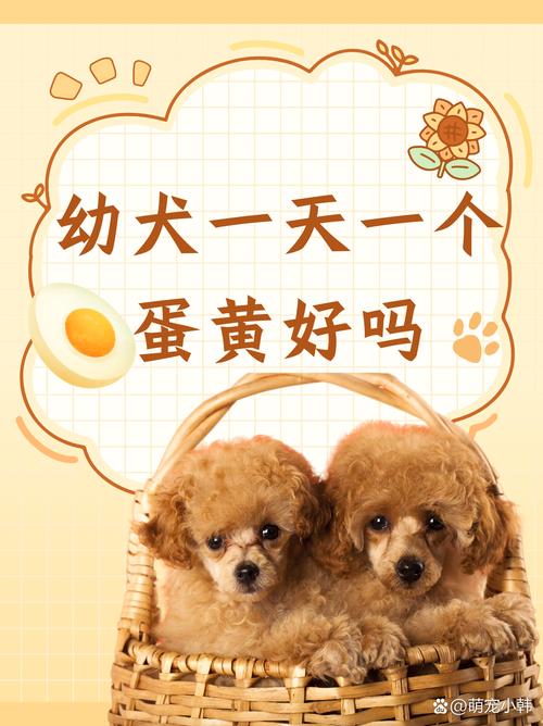 小狗可以吃蛋黄吗-三个月的小狗可以吃蛋黄吗-第6张图片 小狗可以吃蛋黄吗-三个月的小狗可以吃蛋黄吗-第6张图片